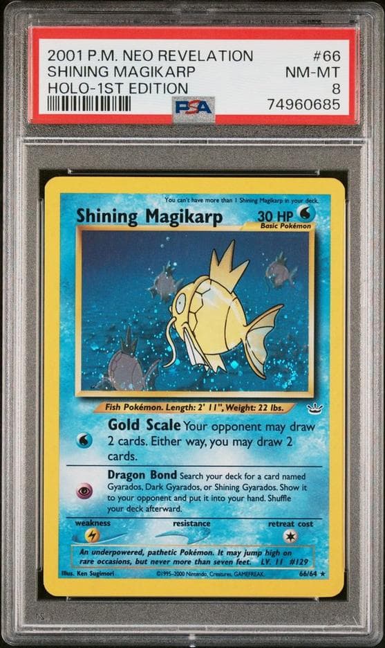 PSA 8 Shining Magikarp Neo Revelation first edition graded slab photo